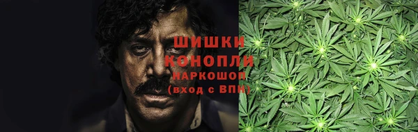 прущие грибы Алзамай