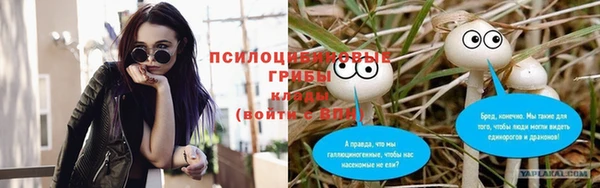 эйфоретик Осинники
