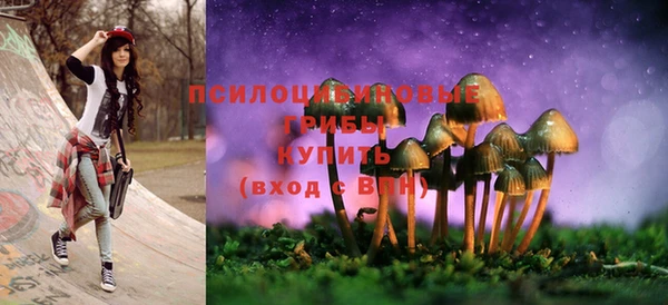 СК Алексеевка