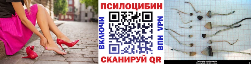 Галлюциногенные грибы MAGIC MUSHROOMS  цена наркотик  hydra вход  Тарко-Сале 